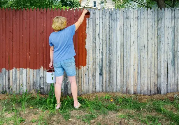 How to Become a Teenage Fence Painter