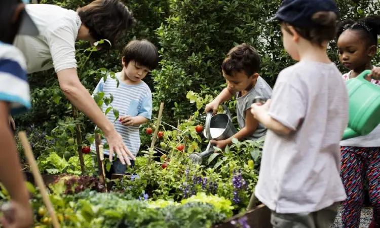 How to Become a Teenage Gardener