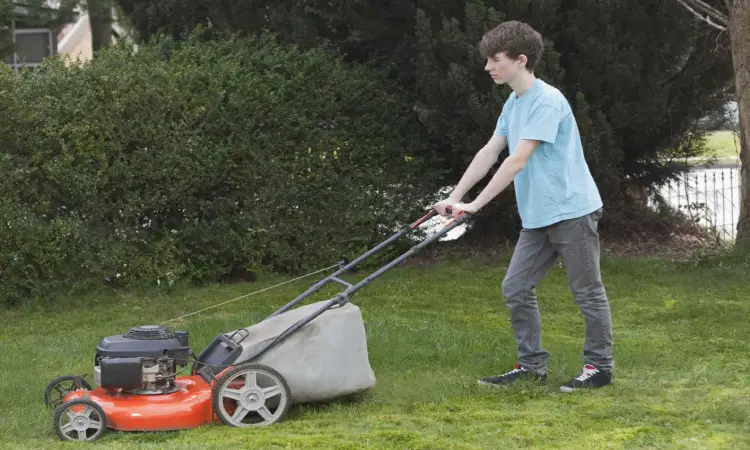 How to Become a Teenage Lawn Mower