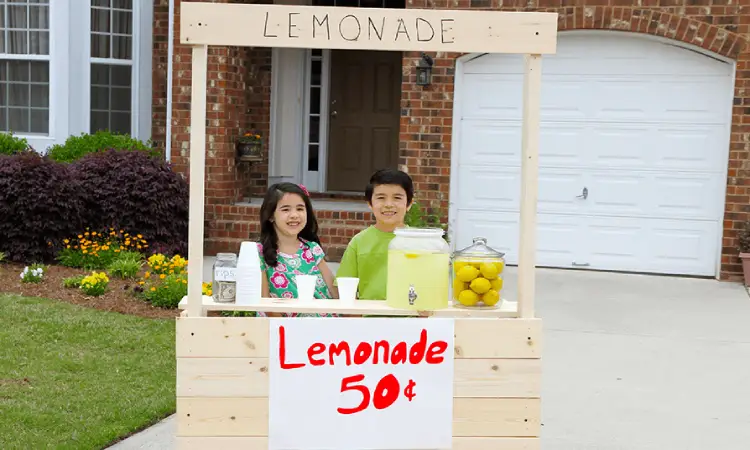 How to Become a Teenage Lemonade Salesman
