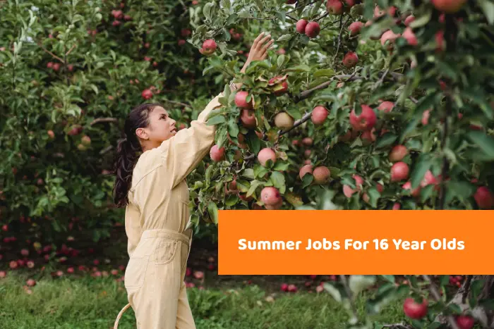 150-summer-jobs-for-16-year-olds-updated-jobs-for-summer-2024